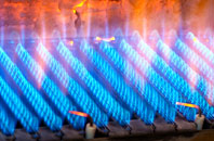 Glyncoed gas fired boilers